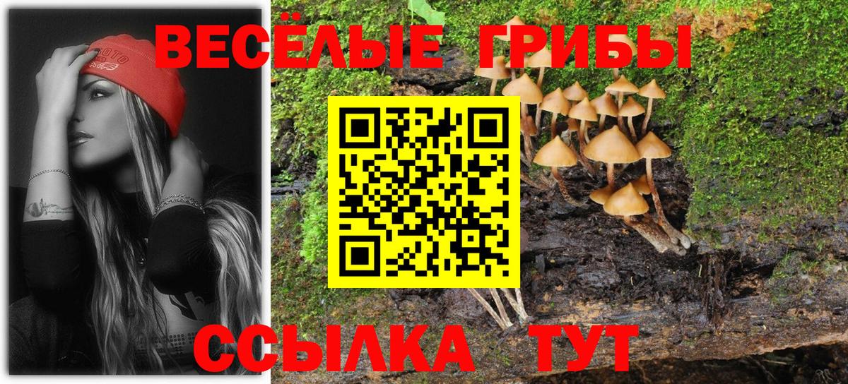 Псилоцибиновые грибы ЛСД  Вход с VPN  Менделеевск 
